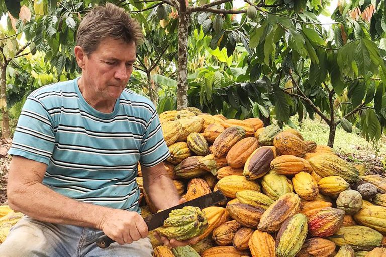 6534_fe9f97d8-a37c-518f-bcc7-dae79cb2e004